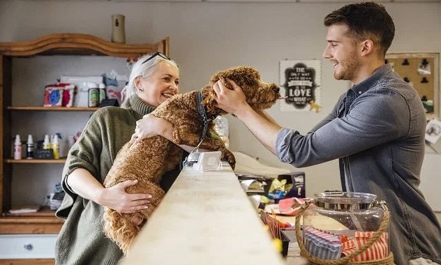 Pet Business Insurance: Protecting Your Passion and Profits